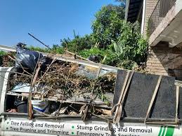 Best Hoarding Cleanup  in Silver Lake, OH